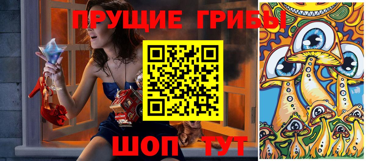 Галлюциногенные грибы Psilocybine cubensis Барнаул