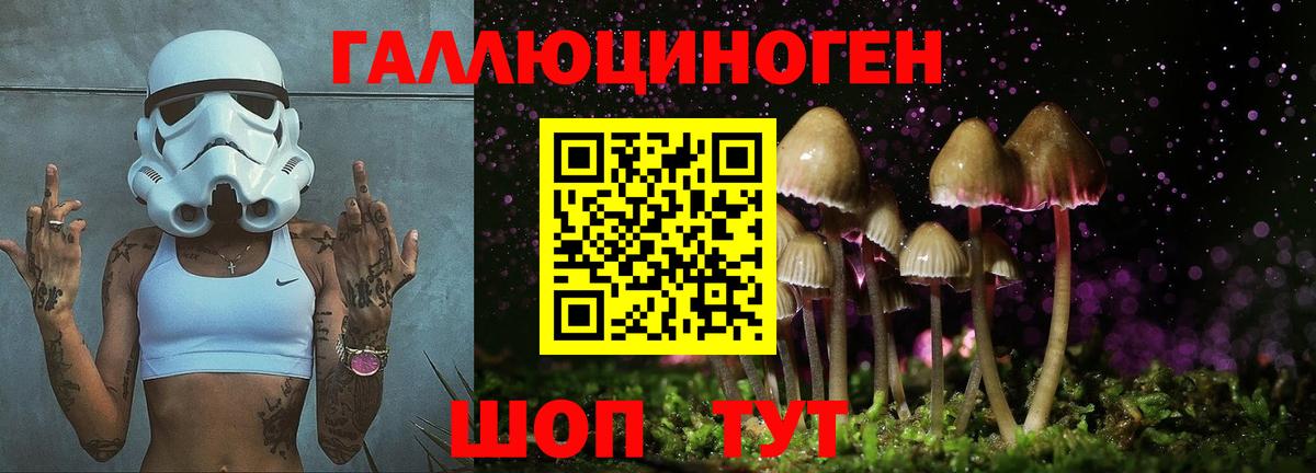 Галлюциногенные грибы Psilocybe  Вход с VPN  Барнаул 